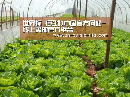 种植基地五
