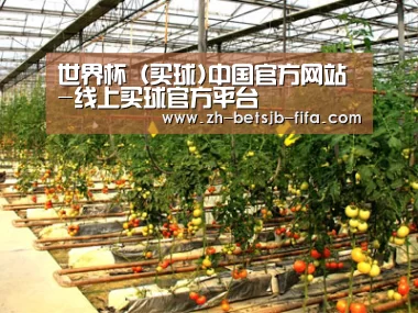 种植基地二