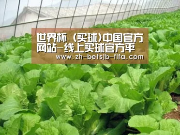 种植基地一