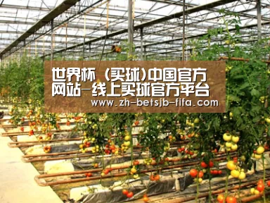 种植基地二(图1)