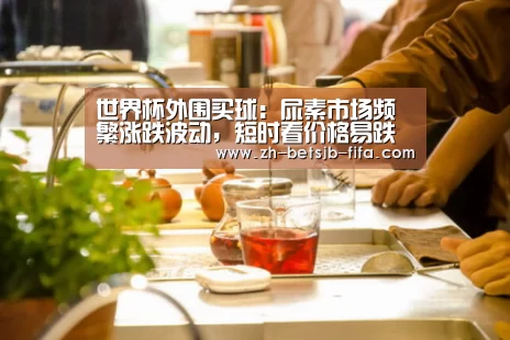世界杯外围买球