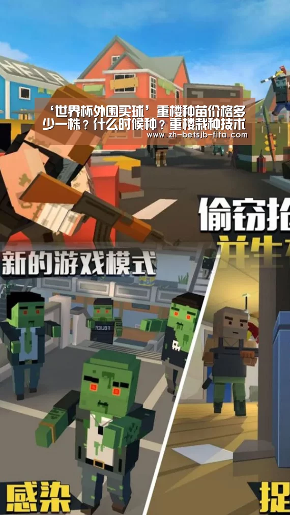 世界杯买球网站
