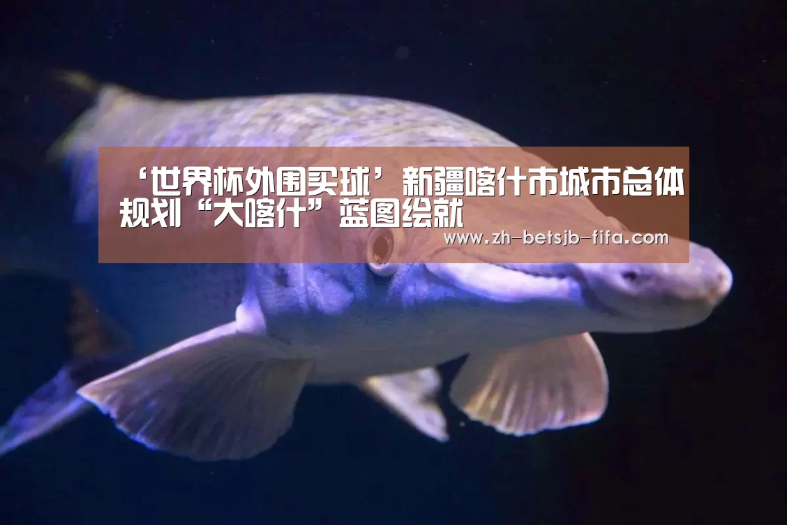 ‘世界杯外围买球’新疆喀什市城市总体规划“大喀什”蓝图绘就(图1) 世界杯投注