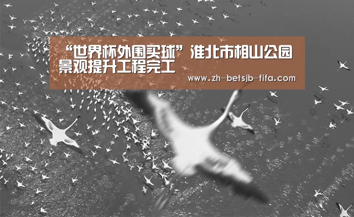 “世界杯外围买球”淮北市相山公园景观提升工程完工(图2) 世界杯投注