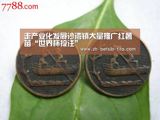 走产业化发展沙湾镇大量推广红薯苗“世界杯投注”(图2) 世界杯投注