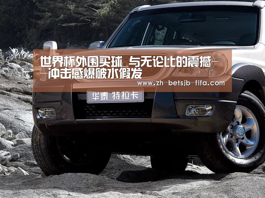 世界杯买球网站