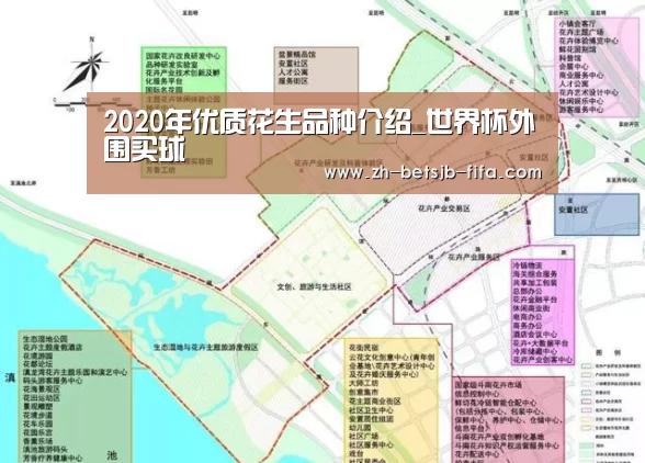 2020年优质花生品种介绍_世界杯外围买球(图4) 世界杯投注