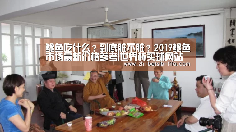 鲶鱼吃什么?到底脏不脏?2019鲶鱼市场最新价格参考|世界杯买球网站(图1) 世界杯外围买球
