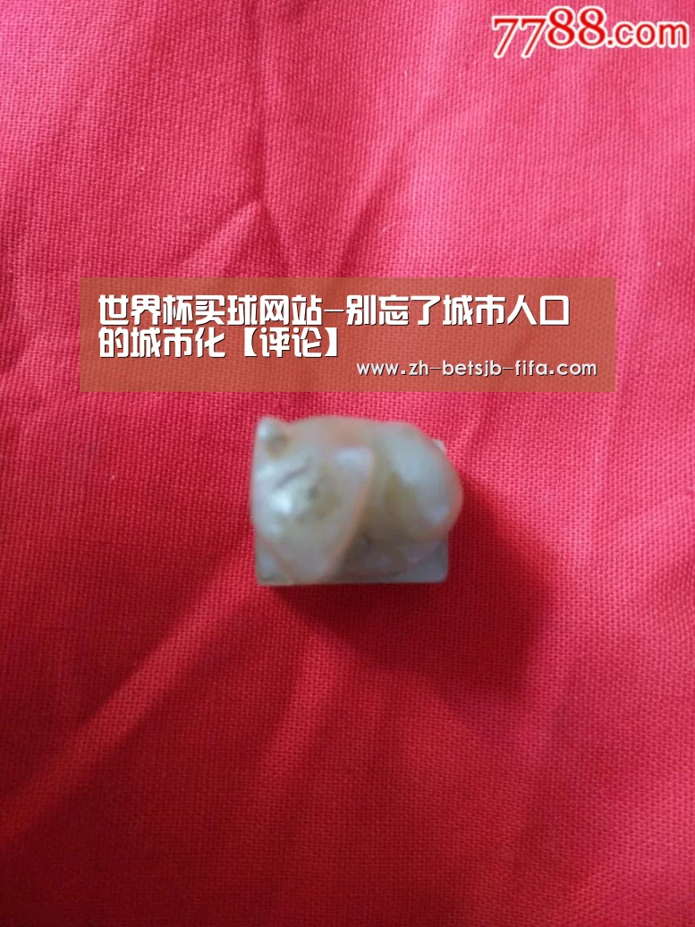 世界杯买球网站-别忘了城市人口的城市化【评论】(图1) 世界杯买球网站