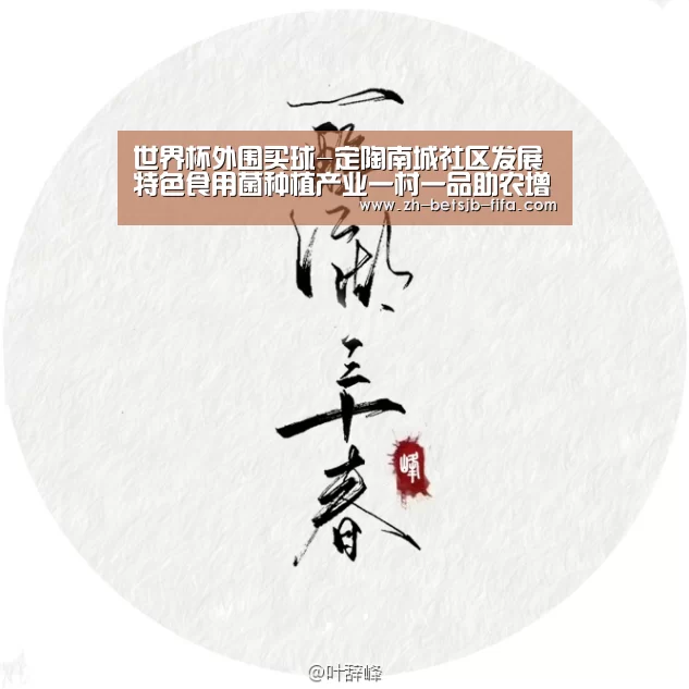 世界杯外围买球-定陶南城社区发展特色食用菌种植产业一村一品助农增收(图3) 世界杯外围买球