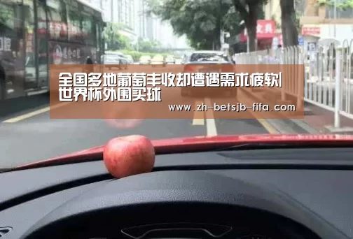世界杯外围买球
