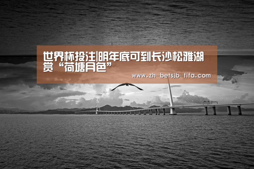 世界杯外围买球