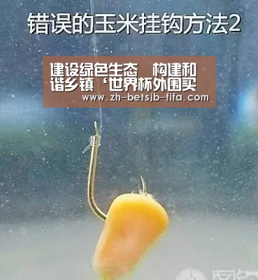 建设绿色生态构建和谐乡镇‘世界杯外围买球’(图4) 世界杯买球网站
